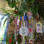 DSC04313