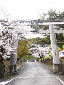 DSC04120