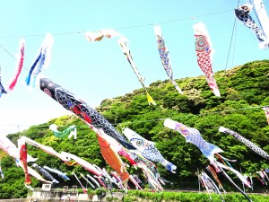 DSC04178