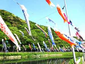DSC04181