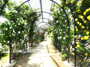 DSC04192